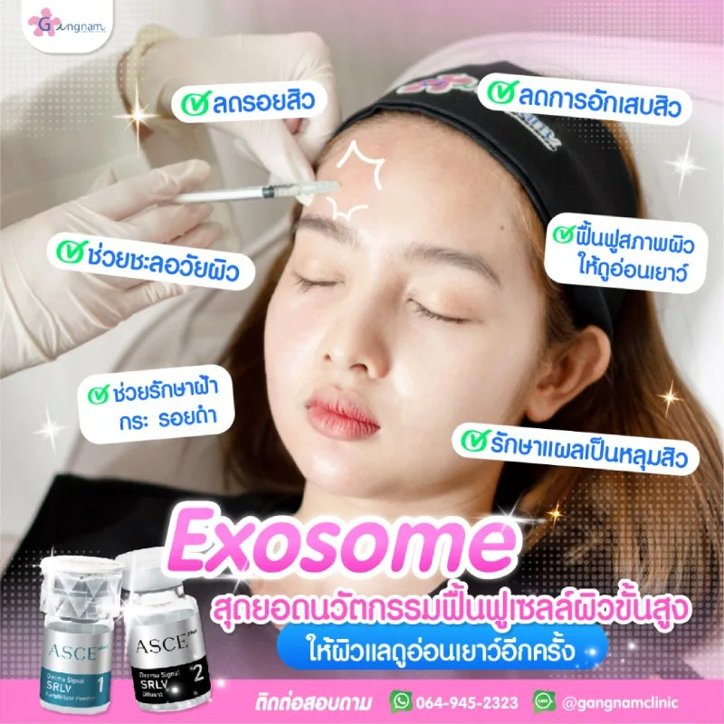 exosome ช่วยเรื่องอะไรบ้าง