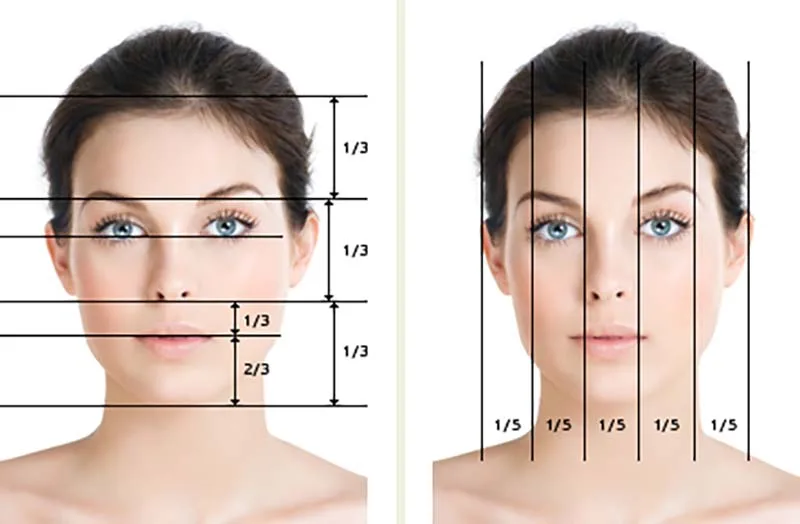 สัดส่วนของใบหน้าที่เท่ากัน