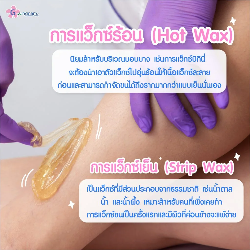 แว็กซ์มีกี่แบบ