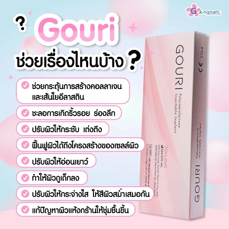 Gouri ช่วยเรื่องไหนบ้าง